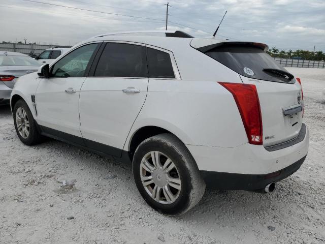 Photo 1 VIN: 3GYFNAEY6BS554830 - CADILLAC SRX LUXURY 