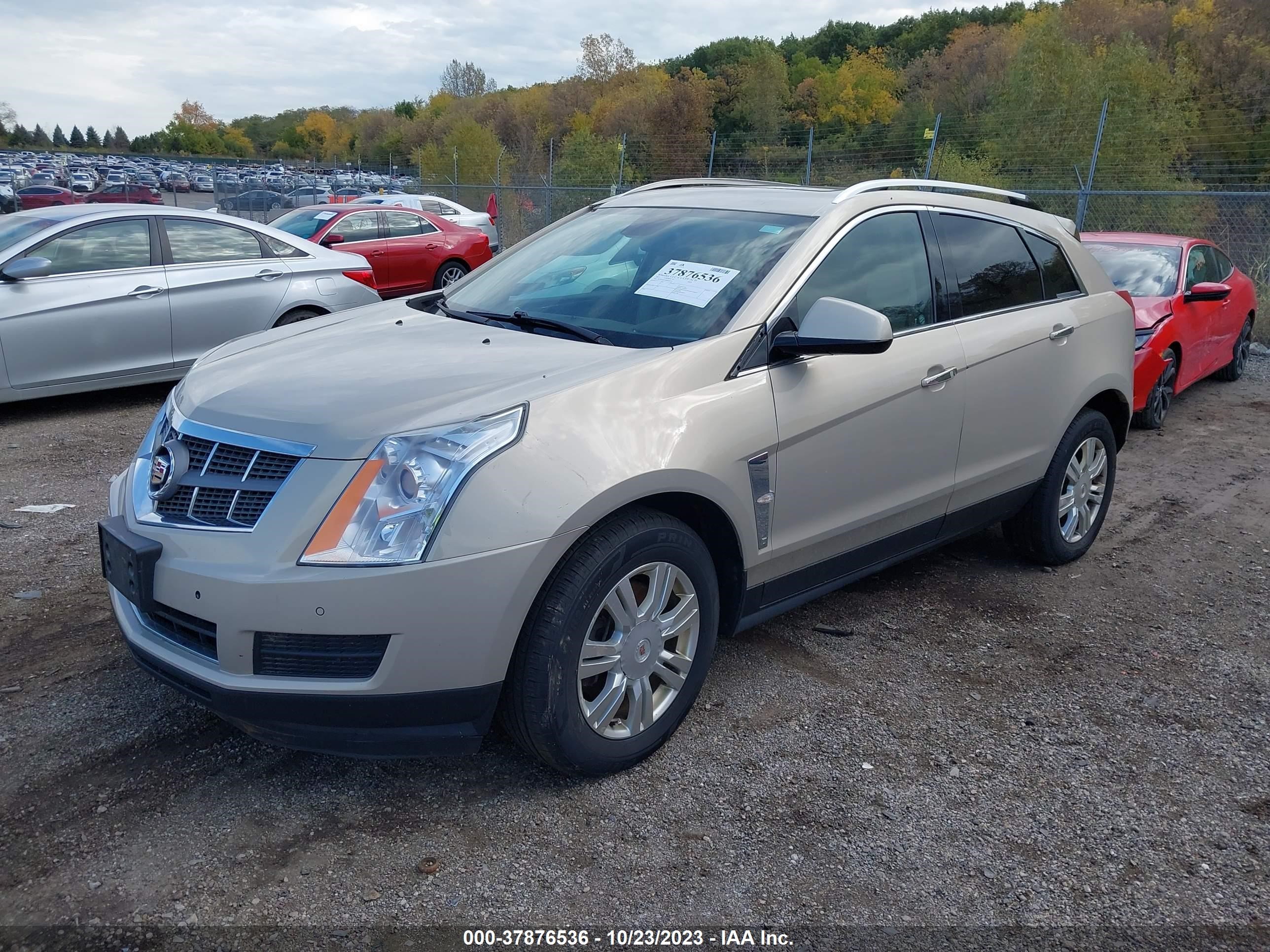 Photo 1 VIN: 3GYFNAEY6BS556318 - CADILLAC SRX 