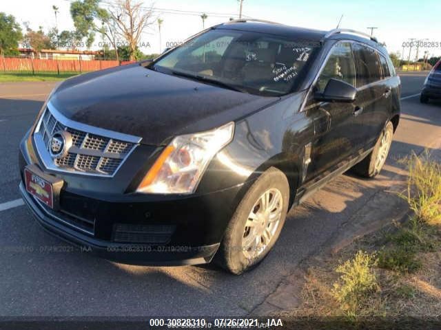 Photo 1 VIN: 3GYFNAEY6BS559512 - CADILLAC SRX 