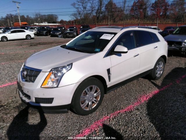 Photo 1 VIN: 3GYFNAEY6BS604531 - CADILLAC SRX 