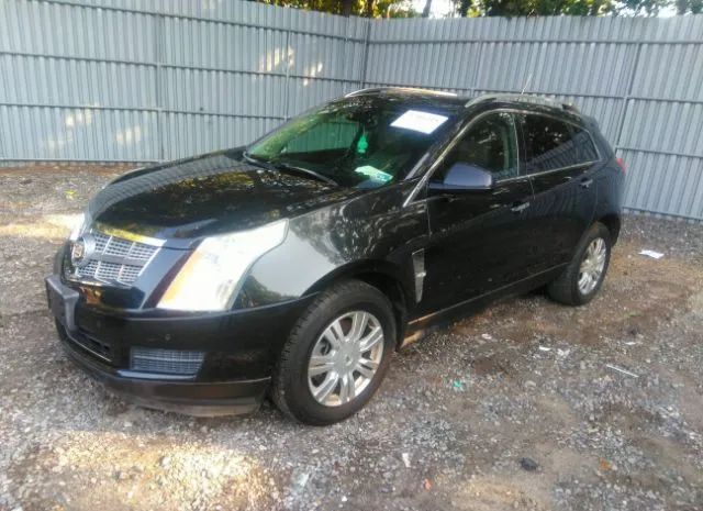 Photo 1 VIN: 3GYFNAEY6BS658461 - CADILLAC SRX 