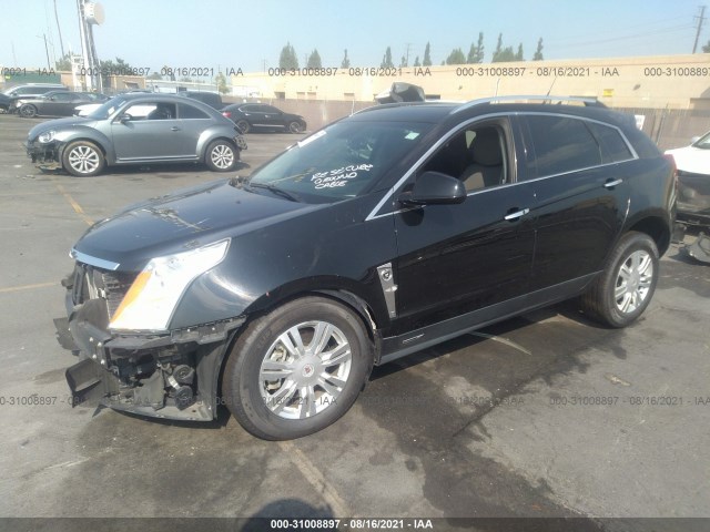 Photo 1 VIN: 3GYFNAEY6BS680816 - CADILLAC SRX 