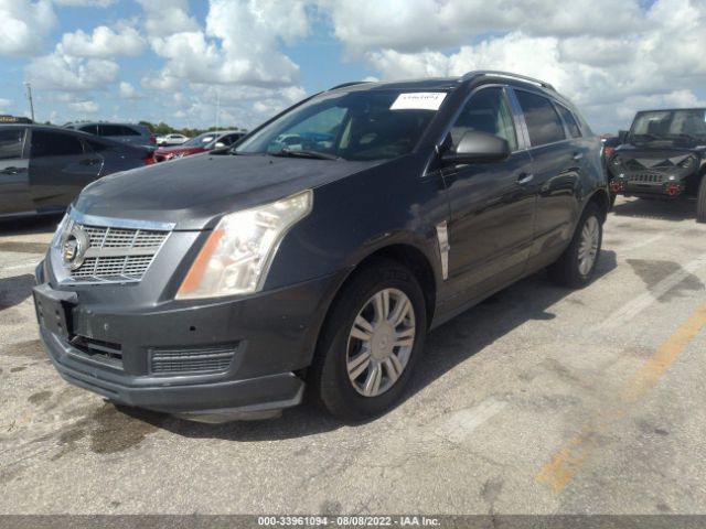 Photo 1 VIN: 3GYFNAEY7AS628769 - CADILLAC SRX 