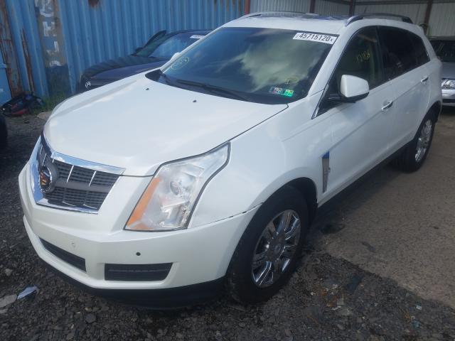 Photo 1 VIN: 3GYFNAEY7AS637035 - CADILLAC SRX 