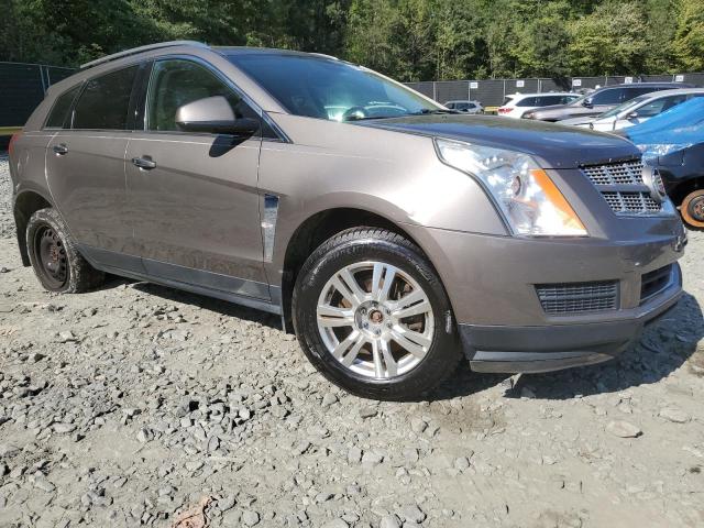 Photo 3 VIN: 3GYFNAEY7BS559051 - CADILLAC SRX LUXURY 