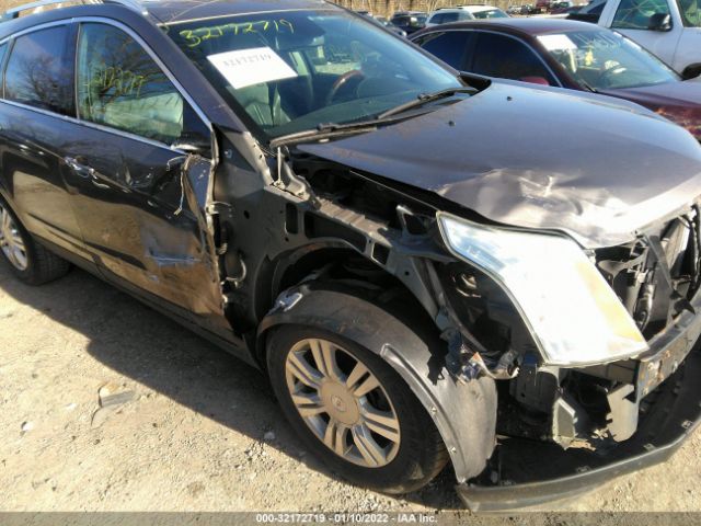 Photo 5 VIN: 3GYFNAEY7BS669582 - CADILLAC SRX 