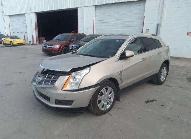 Photo 1 VIN: 3GYFNAEY8AS602861 - CADILLAC SRX 