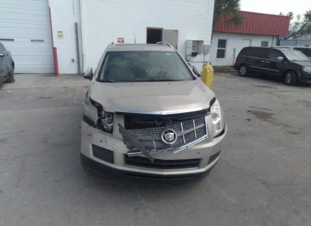 Photo 5 VIN: 3GYFNAEY8AS602861 - CADILLAC SRX 