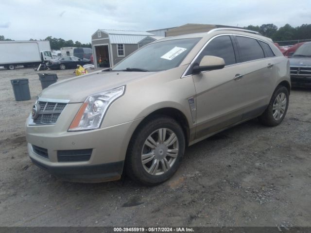 Photo 1 VIN: 3GYFNAEY8AS610913 - CADILLAC SRX 