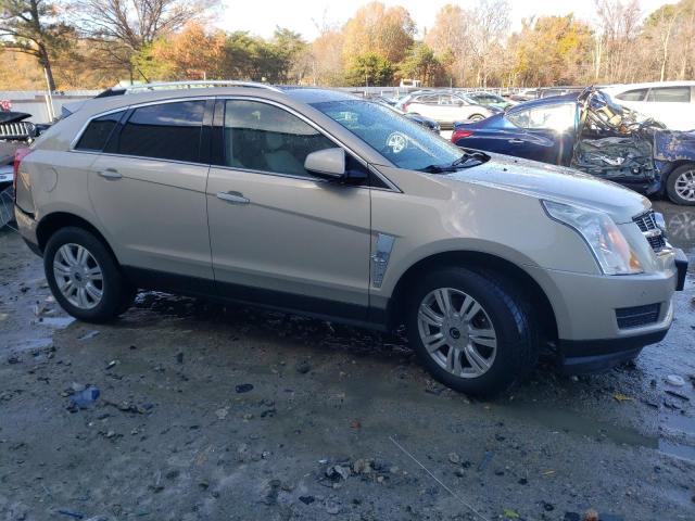 Photo 3 VIN: 3GYFNAEY8AS633382 - CADILLAC SRX LUXURY 