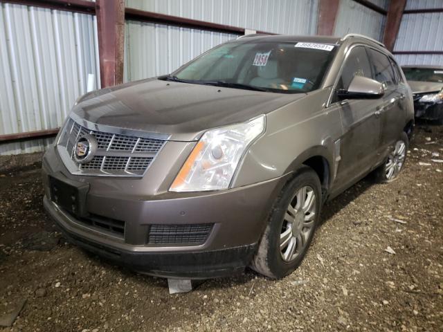 Photo 1 VIN: 3GYFNAEY8BS513258 - CADILLAC SRX 