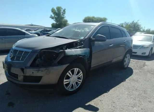 Photo 1 VIN: 3GYFNAEY8BS513258 - CADILLAC SRX 