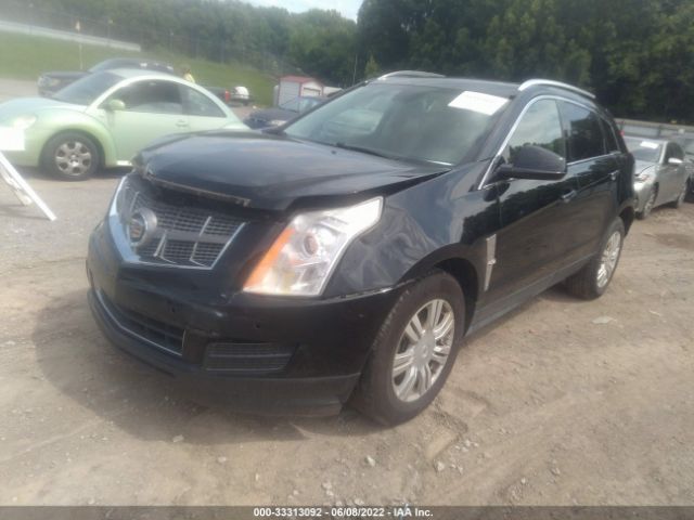 Photo 1 VIN: 3GYFNAEY8BS529427 - CADILLAC SRX 