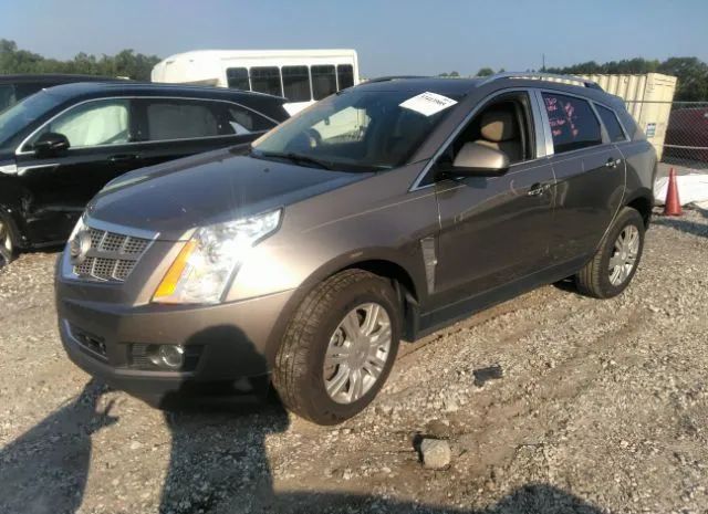 Photo 1 VIN: 3GYFNAEY8BS529900 - CADILLAC SRX 