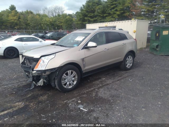 Photo 1 VIN: 3GYFNAEY8BS610055 - CADILLAC SRX 