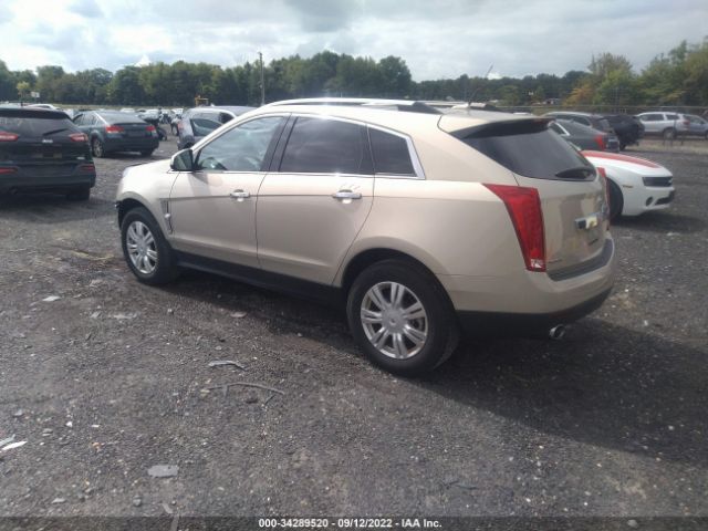 Photo 2 VIN: 3GYFNAEY8BS610055 - CADILLAC SRX 