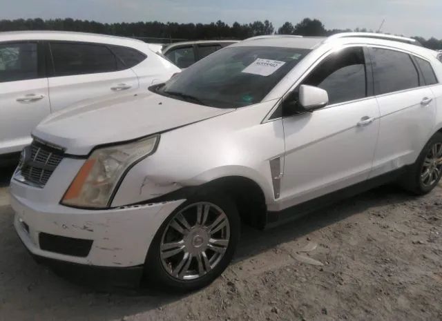 Photo 1 VIN: 3GYFNAEY8BS644366 - CADILLAC SRX 