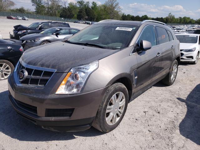 Photo 1 VIN: 3GYFNAEY8BS670322 - CADILLAC SRX 