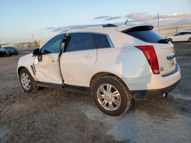 Photo 1 VIN: 3GYFNAEY9AS600567 - CADILLAC SRX LUXURY 