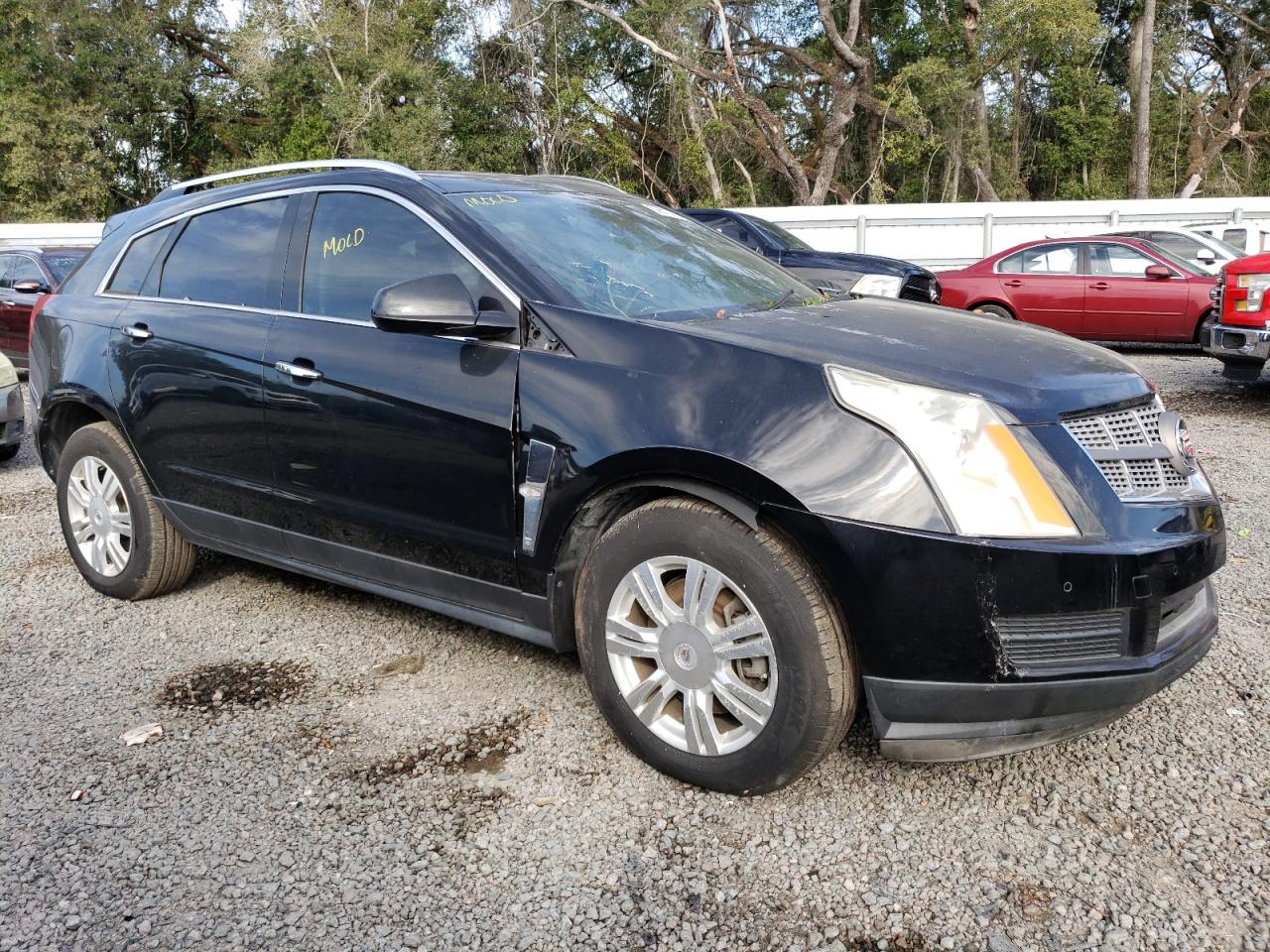 Photo 3 VIN: 3GYFNAEY9AS621984 - CADILLAC SRX 