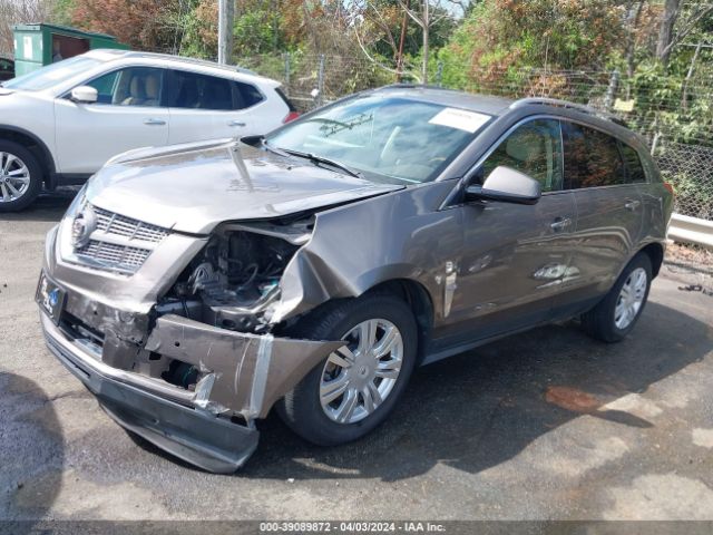 Photo 1 VIN: 3GYFNAEY9BS512426 - CADILLAC SRX 