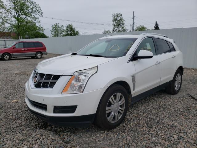 Photo 1 VIN: 3GYFNAEY9BS515214 - CADILLAC SRX LUXURY 