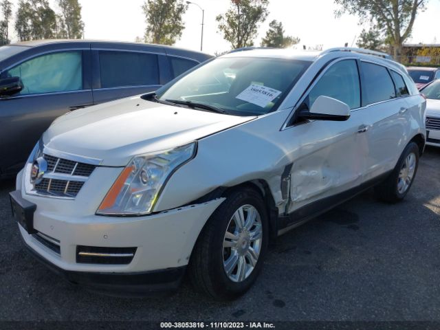 Photo 1 VIN: 3GYFNAEY9BS539626 - CADILLAC SRX 