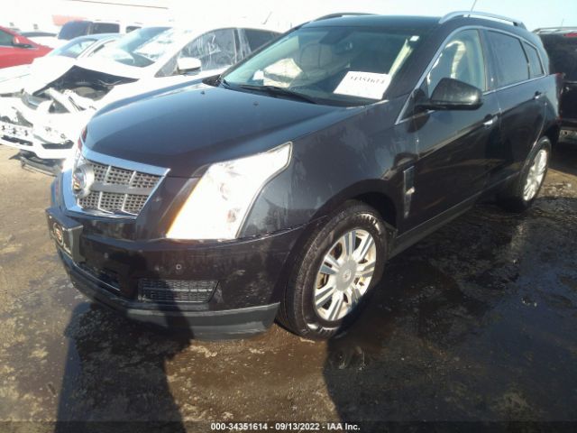 Photo 1 VIN: 3GYFNAEY9BS559830 - CADILLAC SRX 