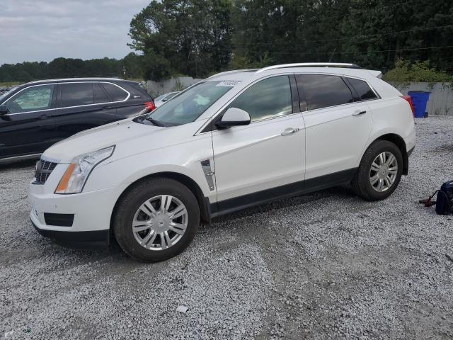 Photo 0 VIN: 3GYFNAEY9BS630699 - CADILLAC SRX LUXURY 