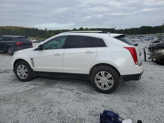 Photo 1 VIN: 3GYFNAEY9BS630699 - CADILLAC SRX LUXURY 