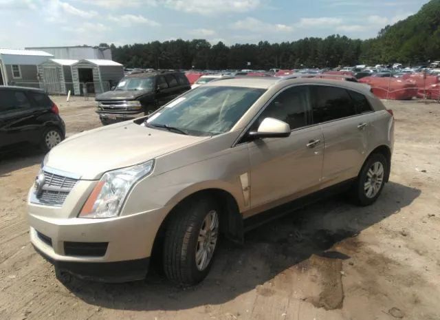 Photo 1 VIN: 3GYFNAEY9BS631092 - CADILLAC SRX 