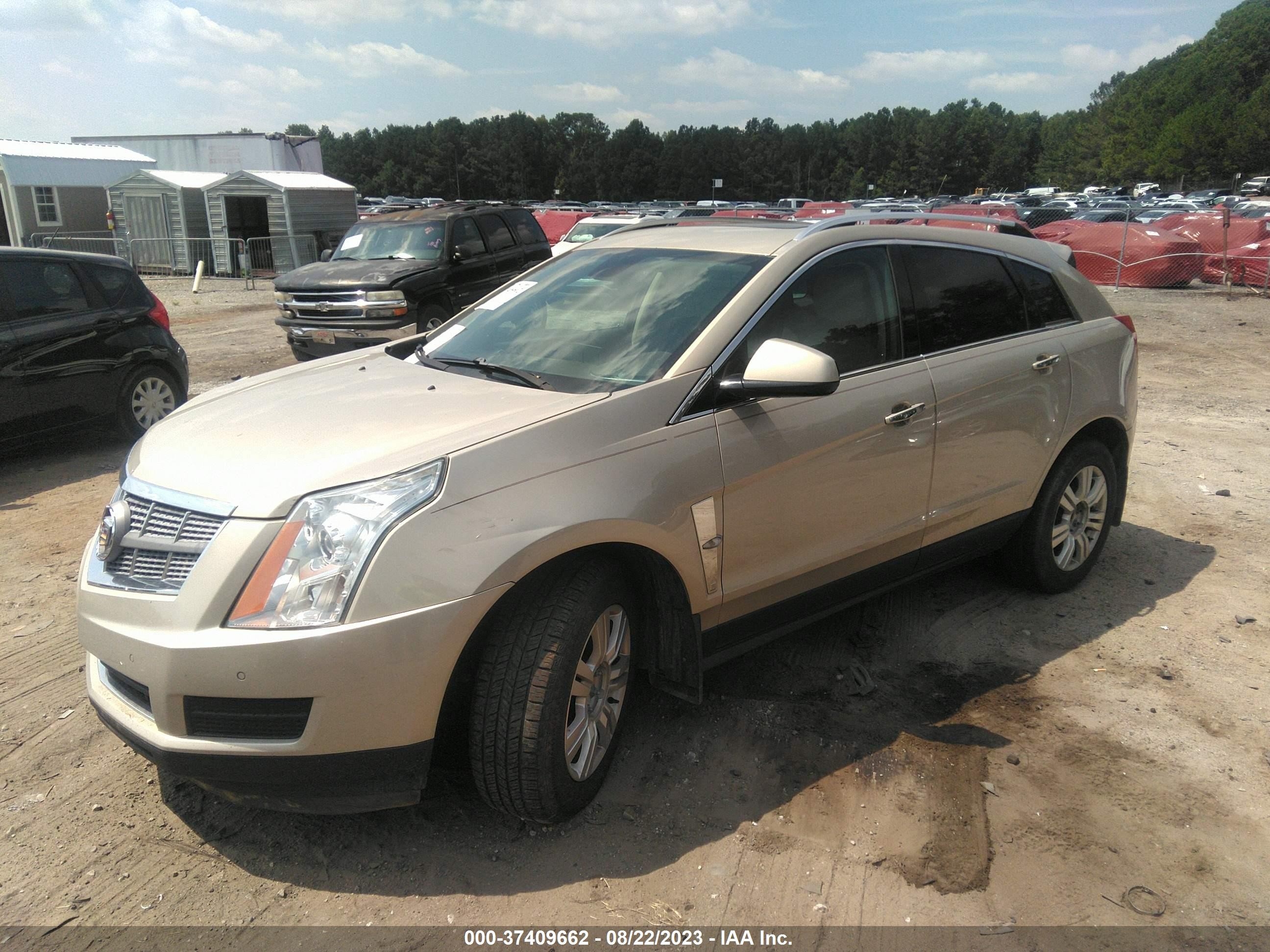 Photo 1 VIN: 3GYFNAEY9BS631092 - CADILLAC SRX 