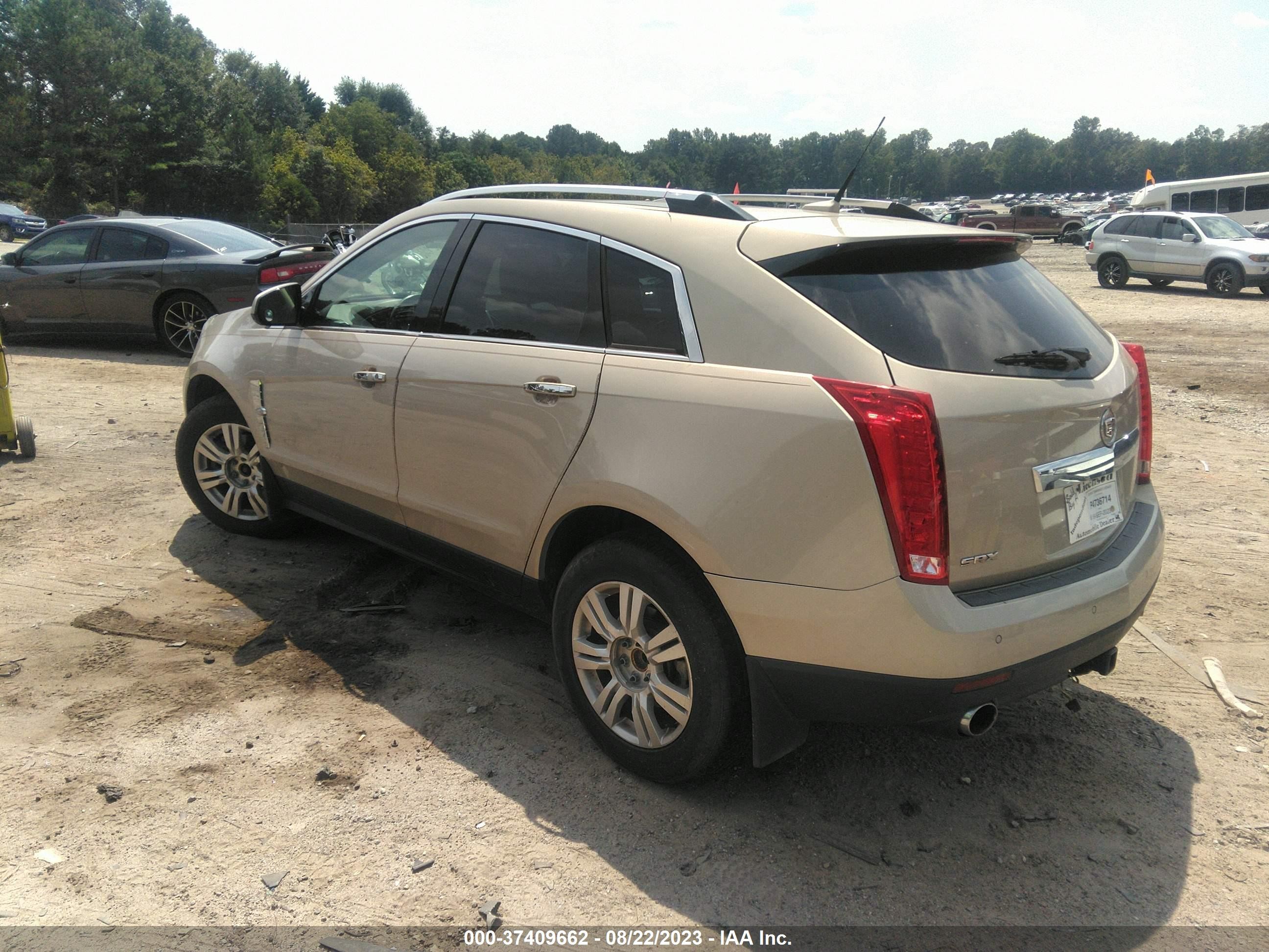 Photo 2 VIN: 3GYFNAEY9BS631092 - CADILLAC SRX 