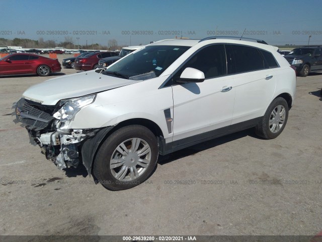 Photo 1 VIN: 3GYFNAEY9BS646188 - CADILLAC SRX 