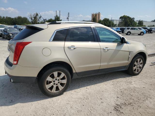 Photo 2 VIN: 3GYFNAEYXAS513292 - CADILLAC SRX LUXURY 