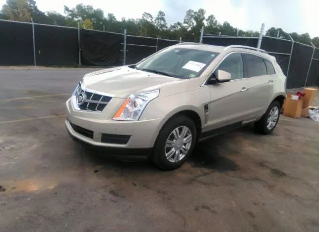 Photo 1 VIN: 3GYFNAEYXAS620827 - CADILLAC SRX 