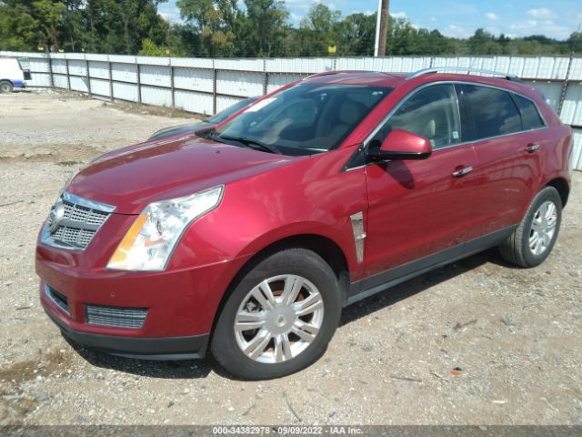 Photo 1 VIN: 3GYFNAEYXAS647591 - CADILLAC SRX 