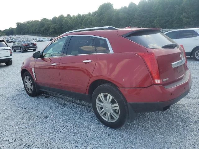 Photo 1 VIN: 3GYFNAEYXAS649017 - CADILLAC SRX LUXURY 