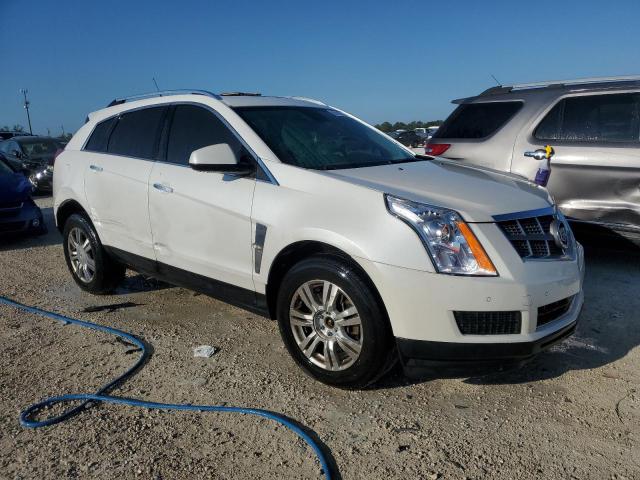 Photo 3 VIN: 3GYFNAEYXAS656713 - CADILLAC SRX LUXURY 