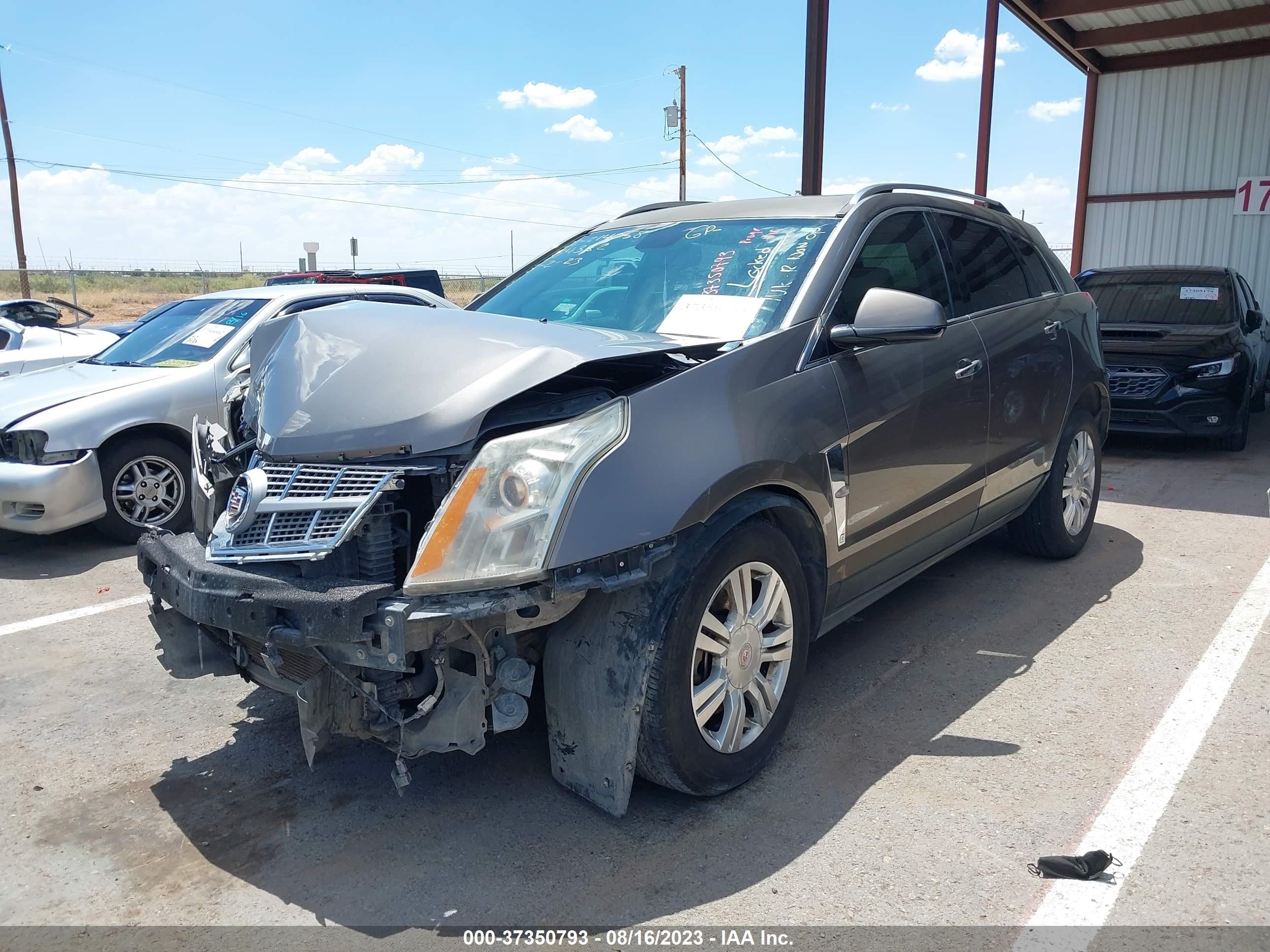 Photo 1 VIN: 3GYFNAEYXBS527761 - CADILLAC SRX 