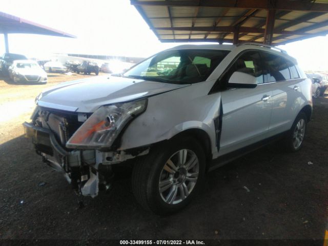 Photo 1 VIN: 3GYFNAEYXBS539716 - CADILLAC SRX 