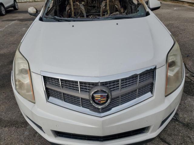 Photo 10 VIN: 3GYFNAEYXBS553762 - CADILLAC SRX LUXURY 