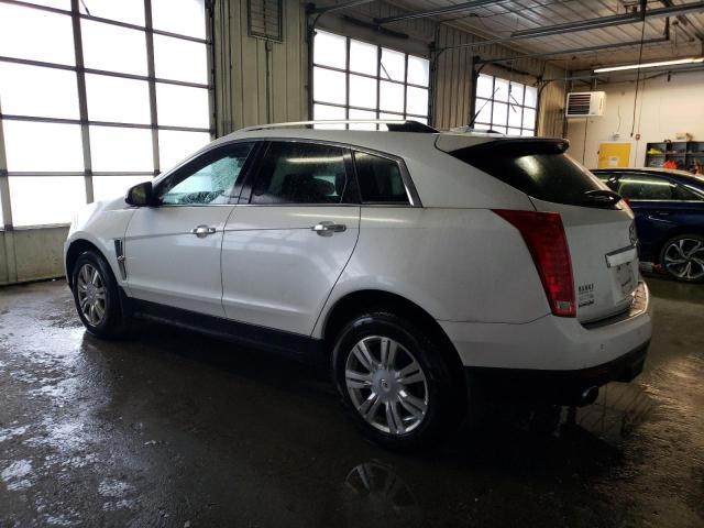 Photo 1 VIN: 3GYFNAEYXBS581755 - CADILLAC SRX LUXURY 