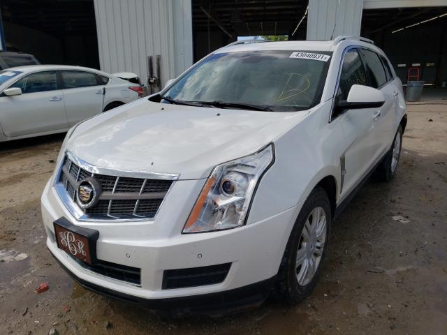 Photo 1 VIN: 3GYFNAEYXBS601714 - CADILLAC SRX LUXURY 