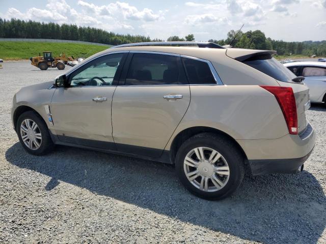 Photo 1 VIN: 3GYFNAEYXBS658382 - CADILLAC SRX LUXURY 