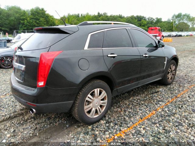 Photo 3 VIN: 3GYFNAEYXBS671004 - CADILLAC SRX 