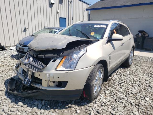 Photo 1 VIN: 3GYFNBE30CS504811 - CADILLAC SRX PERFOR 