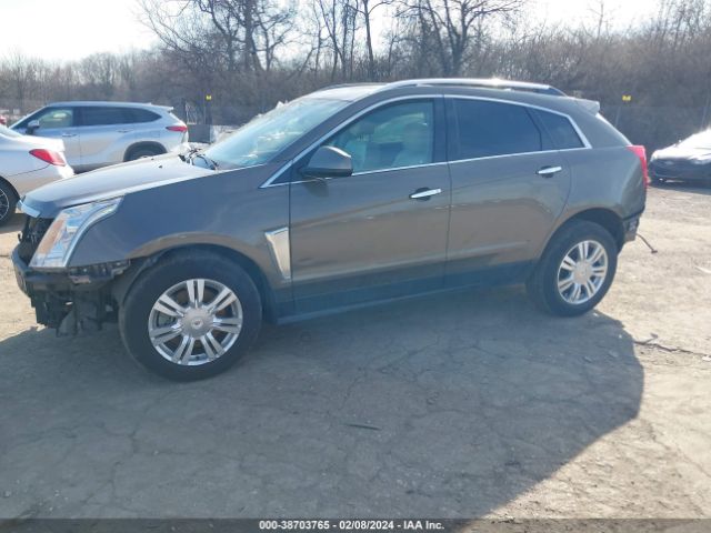 Photo 1 VIN: 3GYFNBE30ES681782 - CADILLAC SRX 