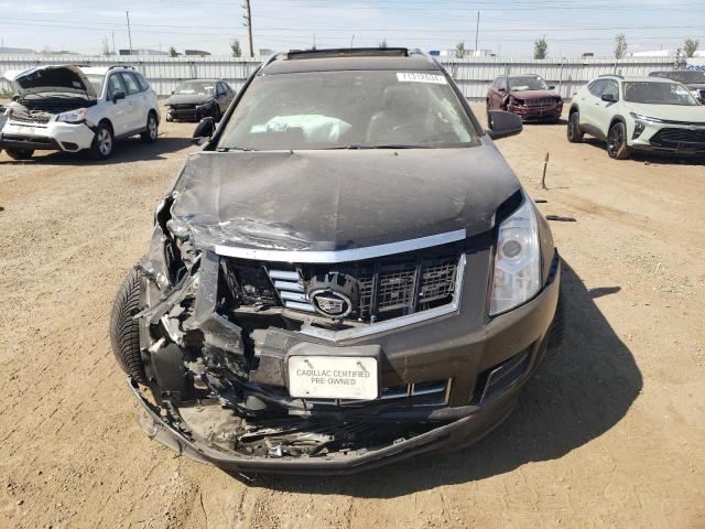 Photo 4 VIN: 3GYFNBE30GS550158 - CADILLAC SRX LUXURY 