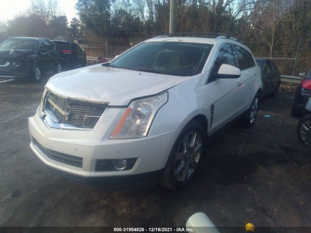 Photo 1 VIN: 3GYFNBE31CS528762 - CADILLAC SRX 